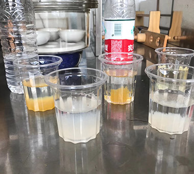 Municipal Wastewater Treatment