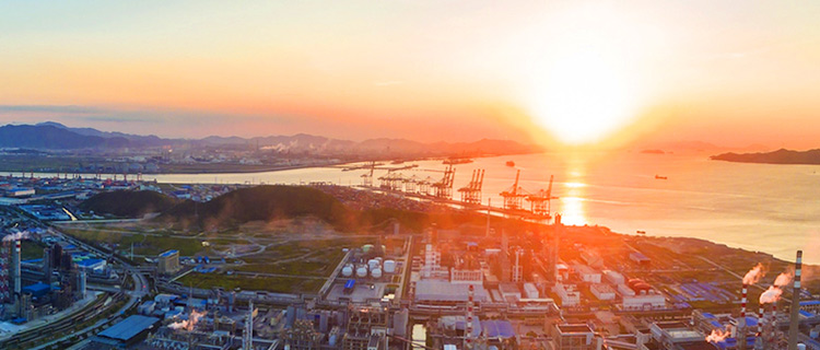 Polyacrylamide manufacturer - About